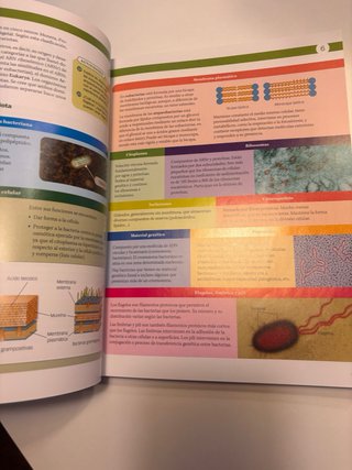 Biología, 2 Bachillerato, Proyecto Construyendo...
