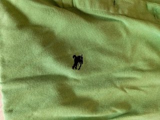 Polo Burberry London Verde
