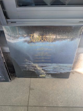 Tomarum Ash in Realms of Stone Icons LP