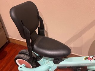 Triciclo evolutivo Gyro