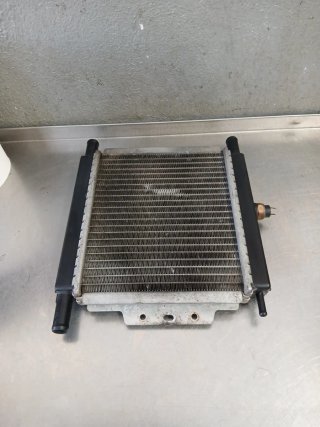 Radiador Peugeot 125 (2007)