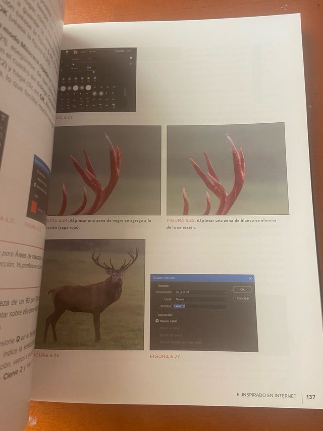 El ladrón de imágenes encuentra inspiración par...