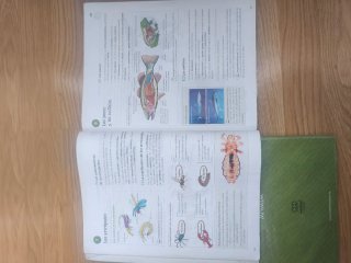 Biología y Geología 1 ESO