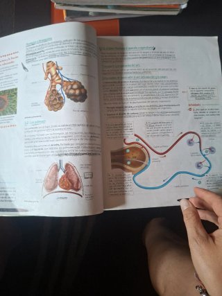 Biología y Geología 3º ESO. Libro del estudiant...