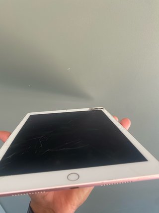 iPad Pro 9.7 32GB Blanco/rosa