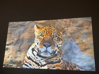 Proyector Optoma HD26 ¡Solo 424h!