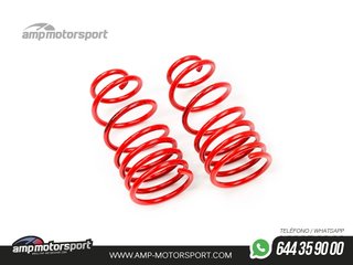 MUELLES DEPORTIVOS MTS TECHNIK MTSXPE113
