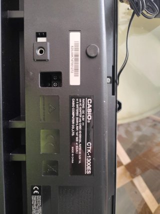 Teclado Electrónico Casio Piano Órgano