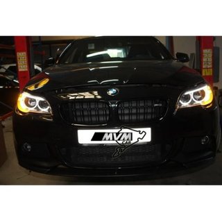 Faros delanteros Bi Xenon BMW Serie 5 F10