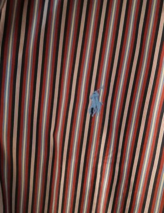 Camisa Polo Ralph Lauren Rayas Talla L