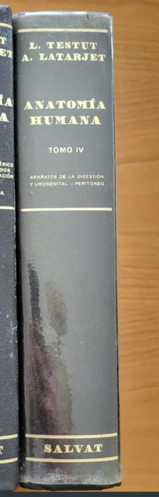 Tomo iv anatomia lajarte