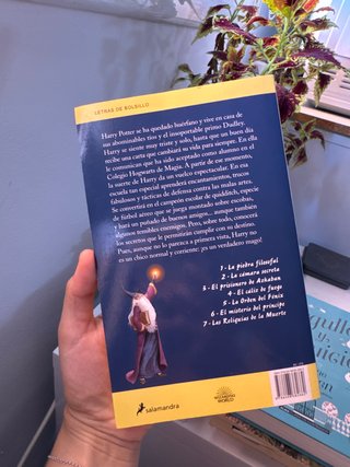 Libro Harry Potter y la piedra filosofal