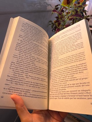 Libro Harry Potter y la piedra filosofal