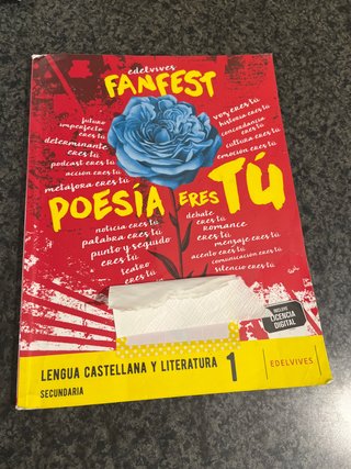 Lengua castellana y literatura 1 Secundaria