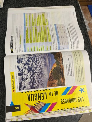Lengua castellana y literatura 1 Secundaria