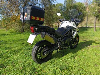 Triumph Tiger 800 XRX 19 Blanca