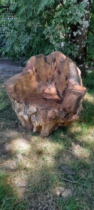 Sillón de madera de acacia, pieza única