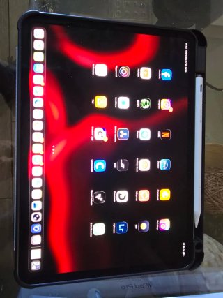 iPad Pro 11 M5 256GB con carcasa