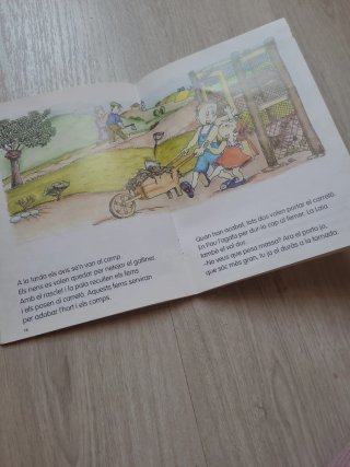 Cuidem les gallines