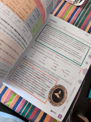 Lengua castellana, 6 Educación Primaria, Progra...