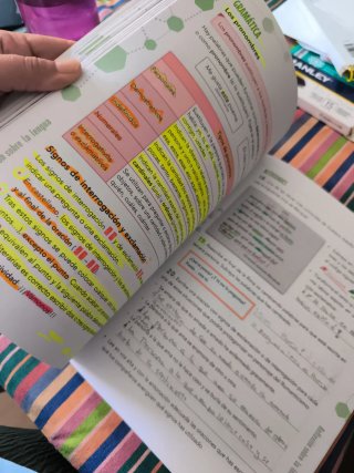 Lengua castellana, 6 Educación Primaria, Progra...