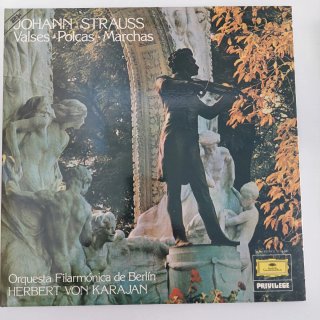Lote 12 vinilos variados de Música Clásica