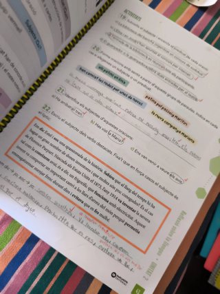 Llengua catalana, 4 Educació Primària, Programa...