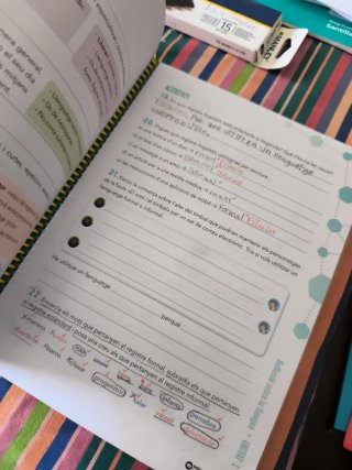 Llengua catalana, 4 Educació Primària, Programa...