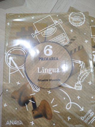 Lingua, 6 Primaria, Operación mundo