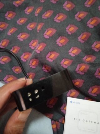 Welock WiFi Box 2 con Alexa
