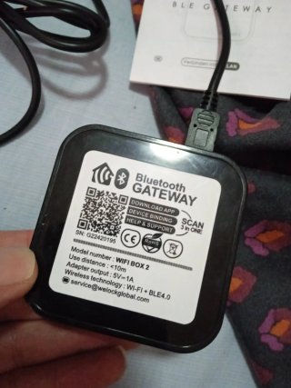 Welock WiFi Box 2 con Alexa