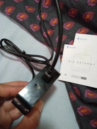 Welock WiFi Box 2 con Alexa