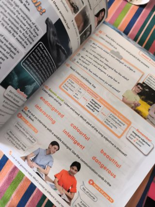 KIDS CAN! Foundations 5 Pupil's Book: libro de ...
