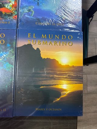 El Mundo submarino