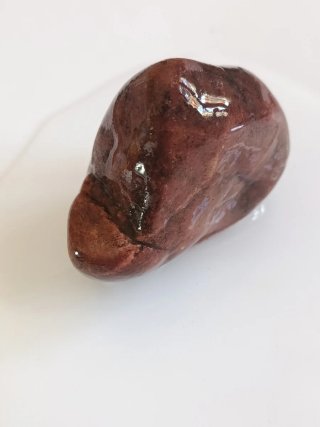 Lote 3 Piedras Decorative Acquario/Zen Ocre