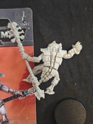 Necron Cryptek
