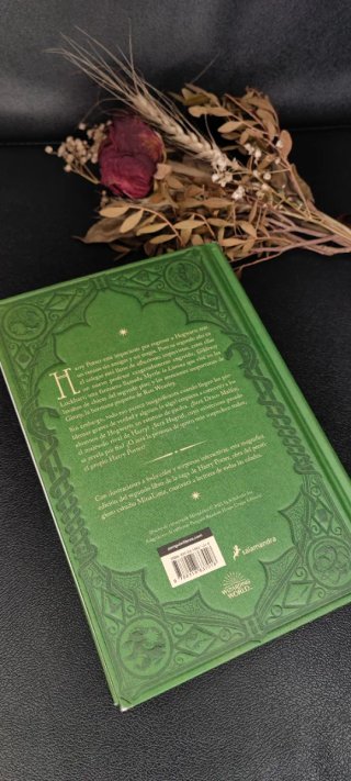 Harry Potter y la Cámara Secreta – MinaLima