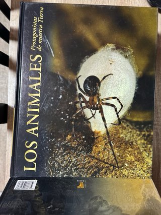 Las sabanas paraíso de los herbívoros