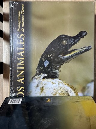 Las sabanas paraíso de los herbívoros