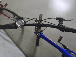 Bicicletas de montaña (2 unidades)