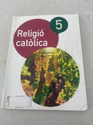 Religió catòlica, 5 Educació Primària