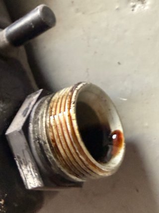 Radiador Aceite Mercedes S W140