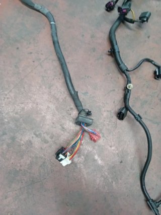 Cableado motor Audi Q7 3.0 TDI BUG 4L