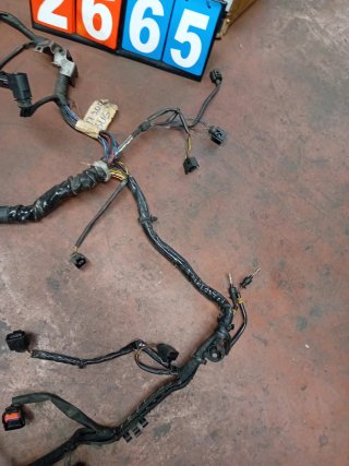 Cableado motor Audi Q7 3.0 TDI BUG 4L