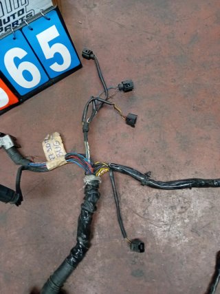 Cableado motor Audi Q7 3.0 TDI BUG 4L