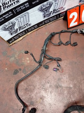 Cableado motor Audi Q7 3.0 TDI BUG 4L