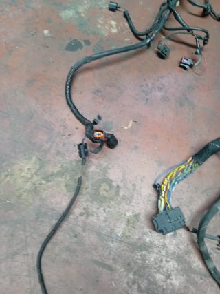 Cableado motor Audi Q7 3.0 TDI BUG 4L