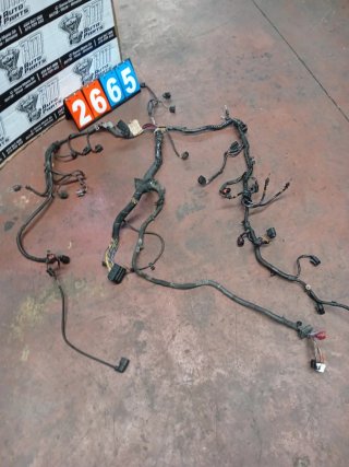 Cableado motor Audi Q7 3.0 TDI BUG 4L