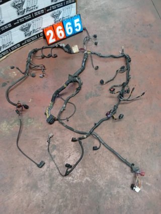 Cableado motor Audi Q7 3.0 TDI BUG 4L