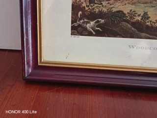 Grabado Clásico Inglés Henry Thomas Alken